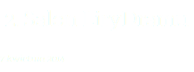 2. Salon LiryDramu 7 kwietnia 2014